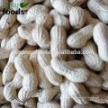 Cacahuetes confitados en alibaba